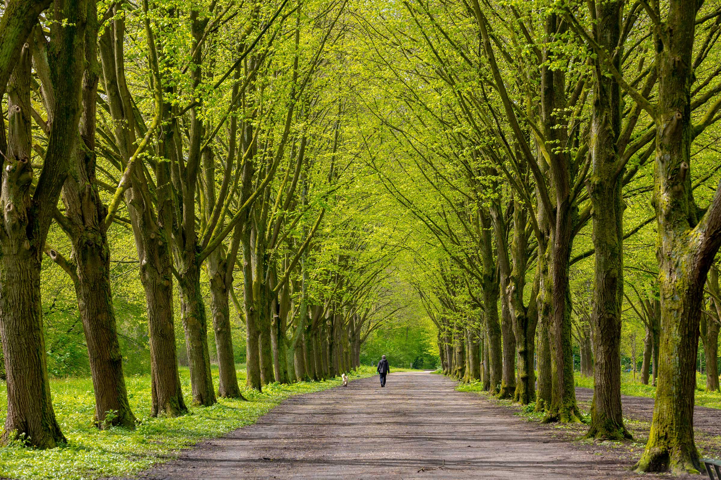 Amstelveen